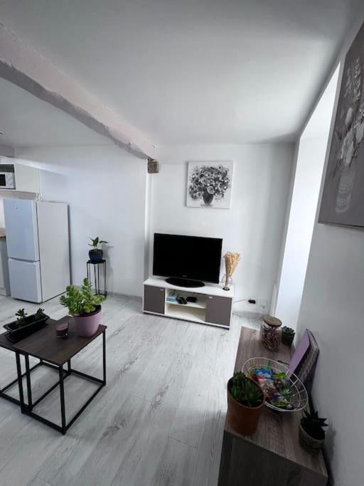 Charmante Maison Renovee Nérac Екстериор снимка