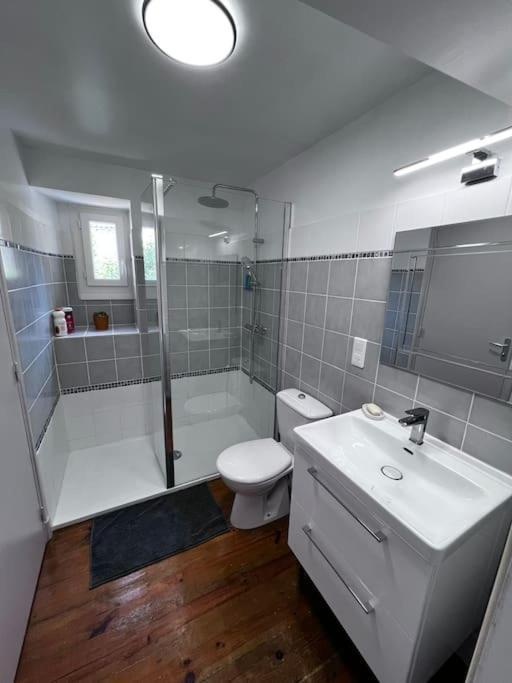 Charmante Maison Renovee Nérac Екстериор снимка